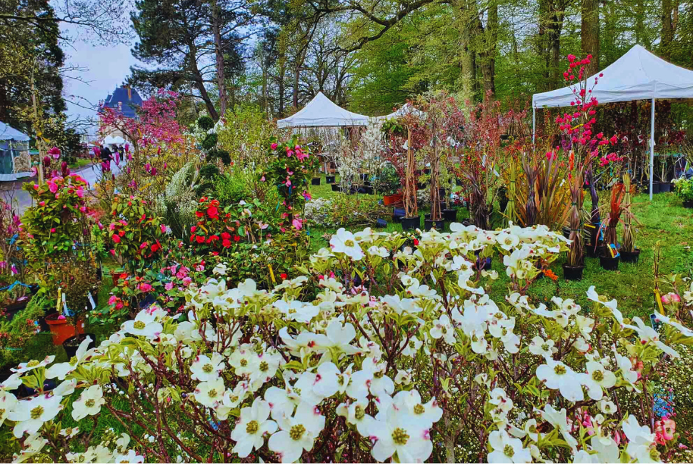 Fête des Plantes au Château Saint-Jean de Beauregard | Bottin Mondain